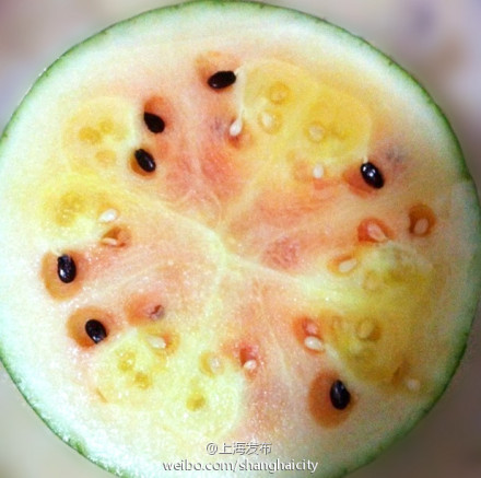 这种“双色冰淇淋”表皮翠绿,切开后却半红半黄。 这种“双色冰淇淋”表皮翠绿,切开后却半红半黄。