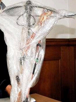 兽父酒后性侵女儿 <em>父女</em>关系恶劣(图)(2)_新浪上