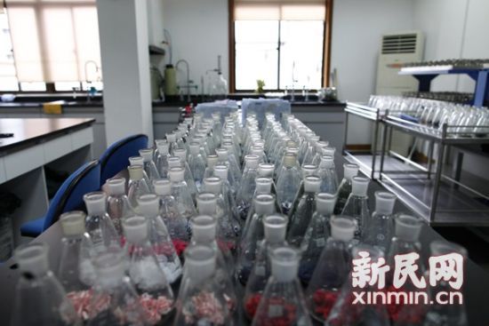 实验室内,送检校服被分解成小块等待检测各项指标。 新民网 萧君玮 资料图 实验室内,送检校服被分解成小块等待检测各项指标。 新民网 萧君玮 资料图