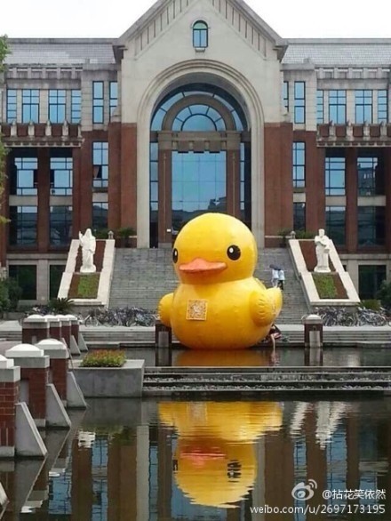 华政学生设计制作大黄鸭 学校放在校内水池展