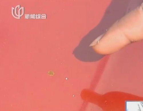 南汇芦潮港下起粪便雨 南汇芦潮港下起粪便雨