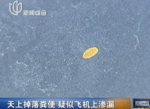 芦潮港下起"粪便雨" 芦潮港下起"粪便雨"