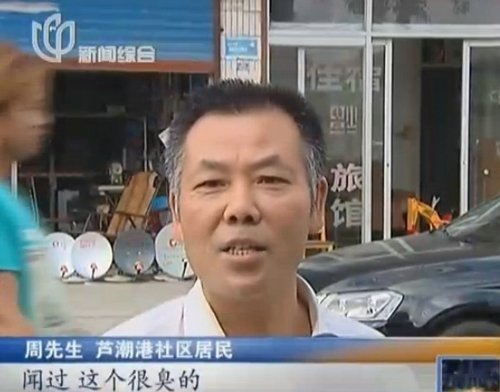 芦潮港下起"粪便雨" 芦潮港下起"粪便雨"