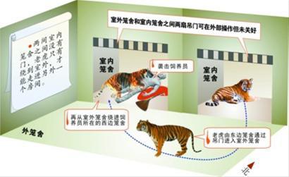 吴名遂 制图 吴名遂 制图