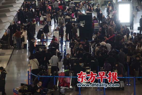 上海浦东机场,大批旅客在排队等候办理登机手续。 杨一 早报资料 上海浦东机场,大批旅客在排队等候办理登机手续。 杨一 早报资料