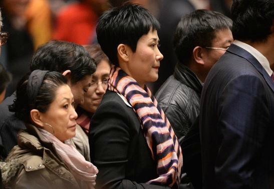 李小琳两会 打扮低调仍受关注(6)