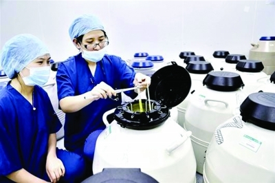 <em>冷冻胚胎</em>之争 非遗产不能继承_新浪上海_新浪